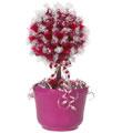 Raspberry Truffle Topiary