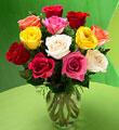 1 Dozen Mixed Color Roses