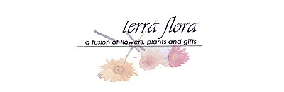 Terra Flora